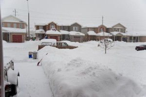 snowysubdivision