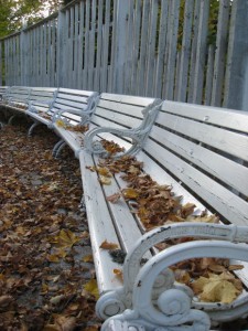 bench1